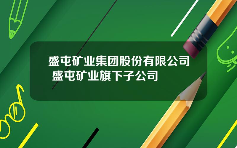 盛屯矿业集团股份有限公司 盛屯矿业旗下子公司